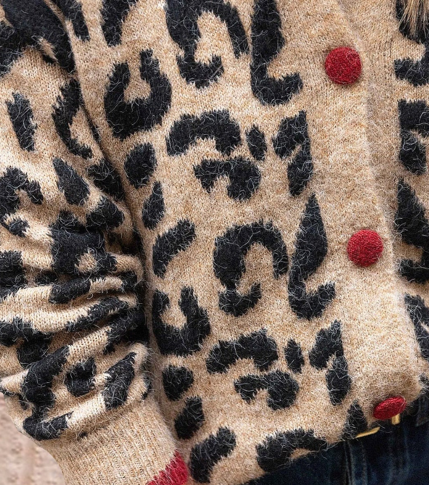 Aranza® | Cardigan unique à Manches longues, imprimé léopard, the couleur marron