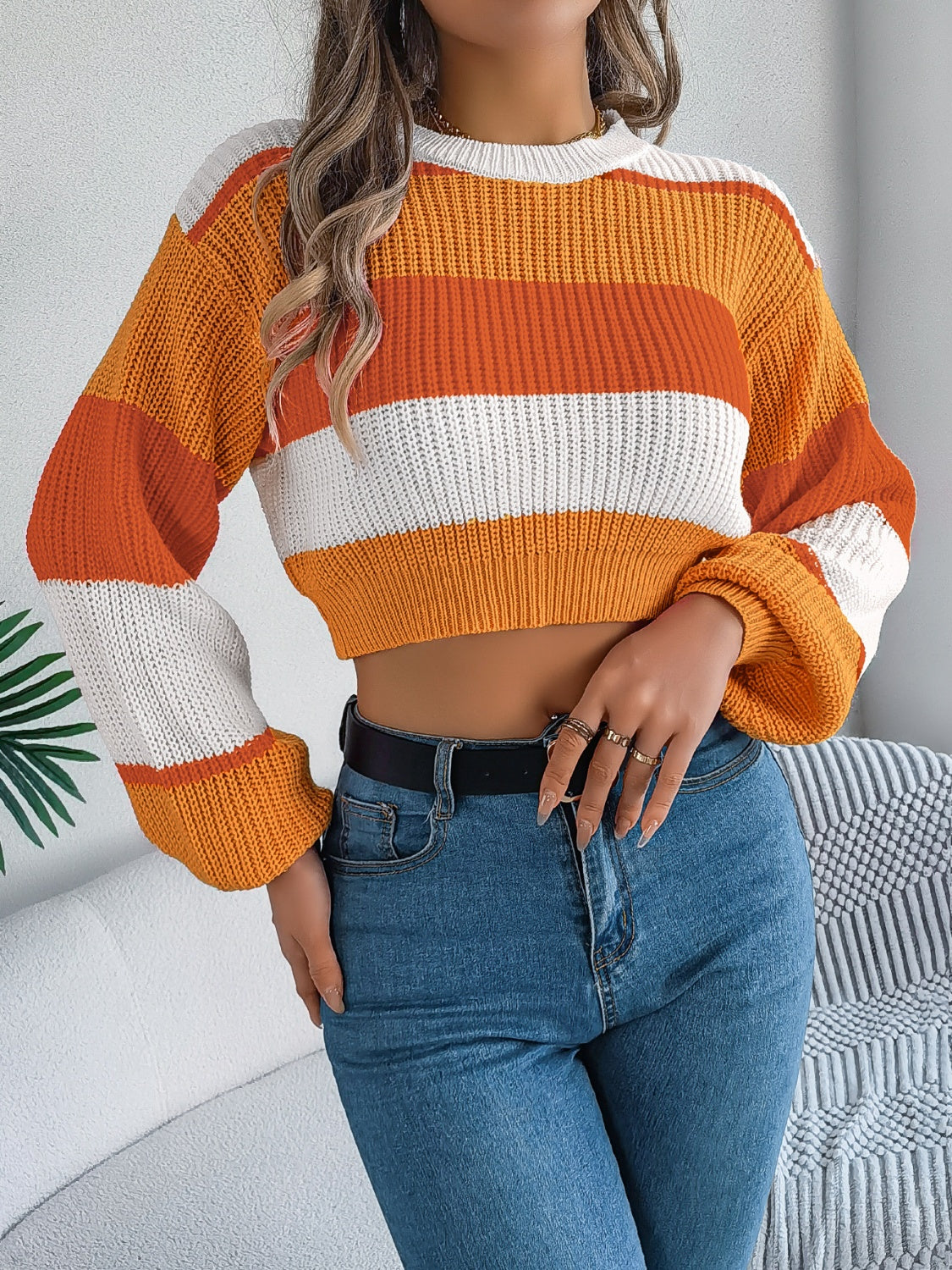 Magda | Cropped color block crew neck sweater
