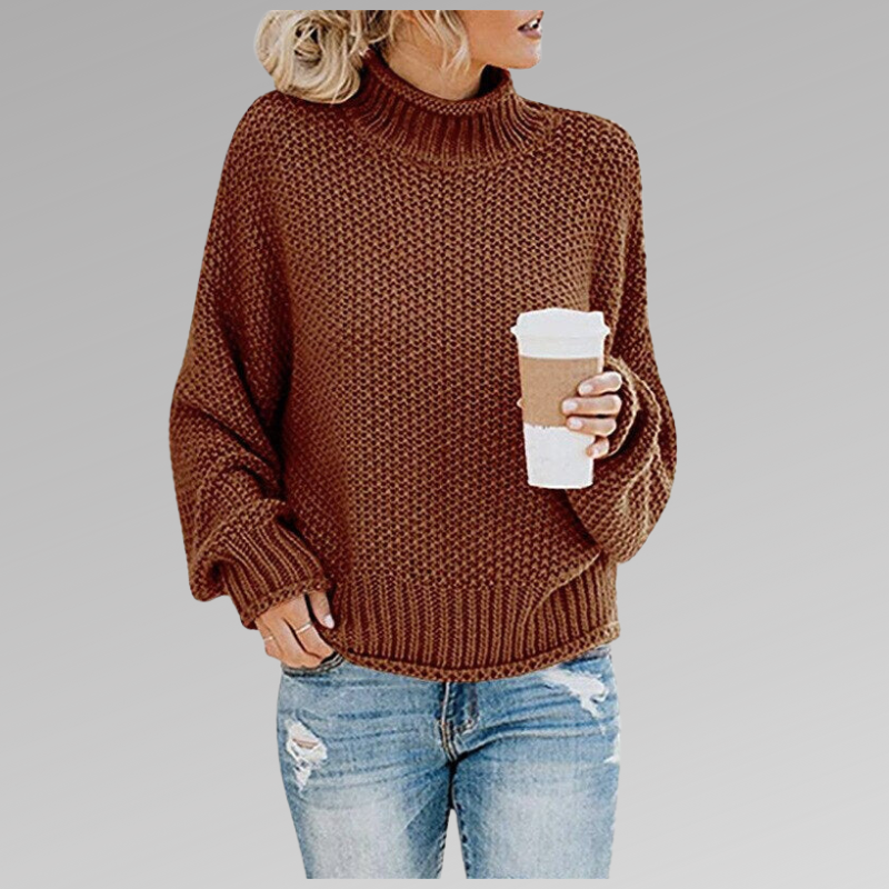 Ileana | Cozy knit turtleneck sweater