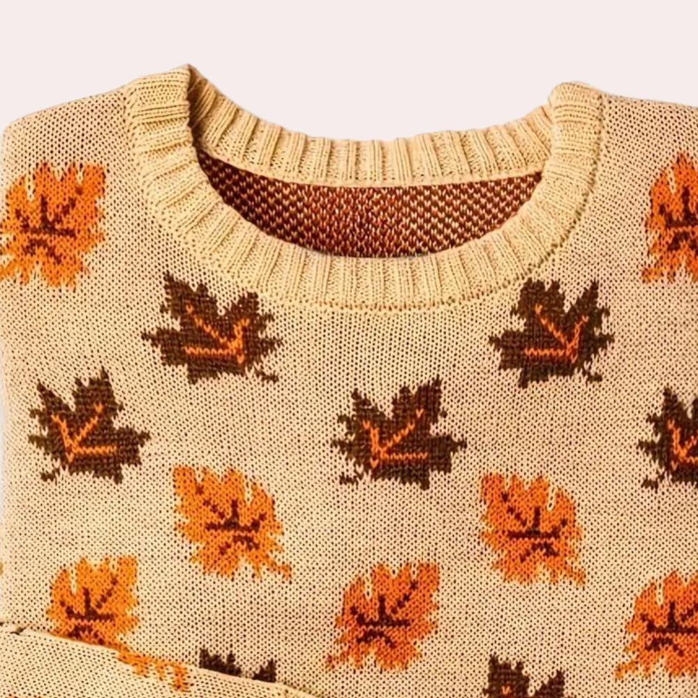 Edith | Women's Patterned Crewneck Sweater