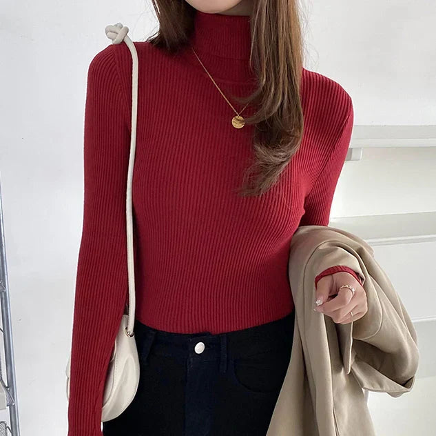 Irati | Turtleneck sweater for women