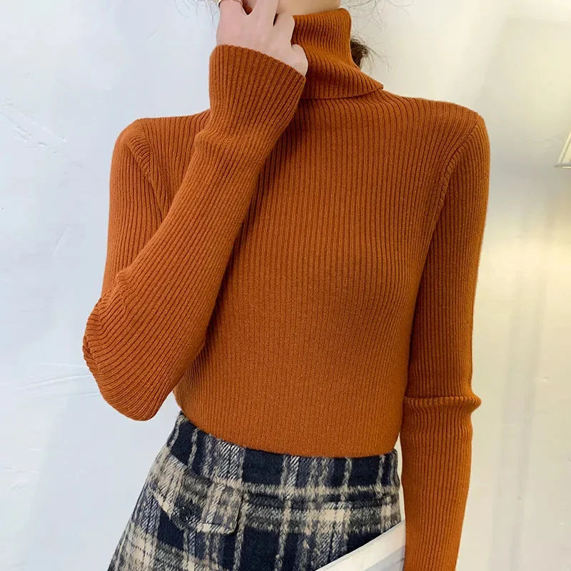 Irati | Turtleneck sweater for women
