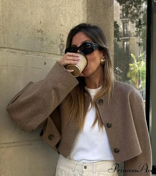 Bomber Demi-season Round Neck Buttoned Cropped Casual Autumn Chic Stylish Coat
